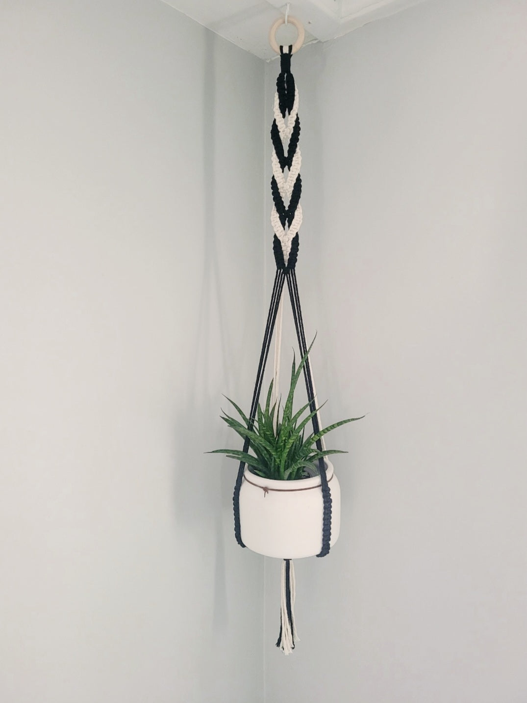Jardinière torsadé