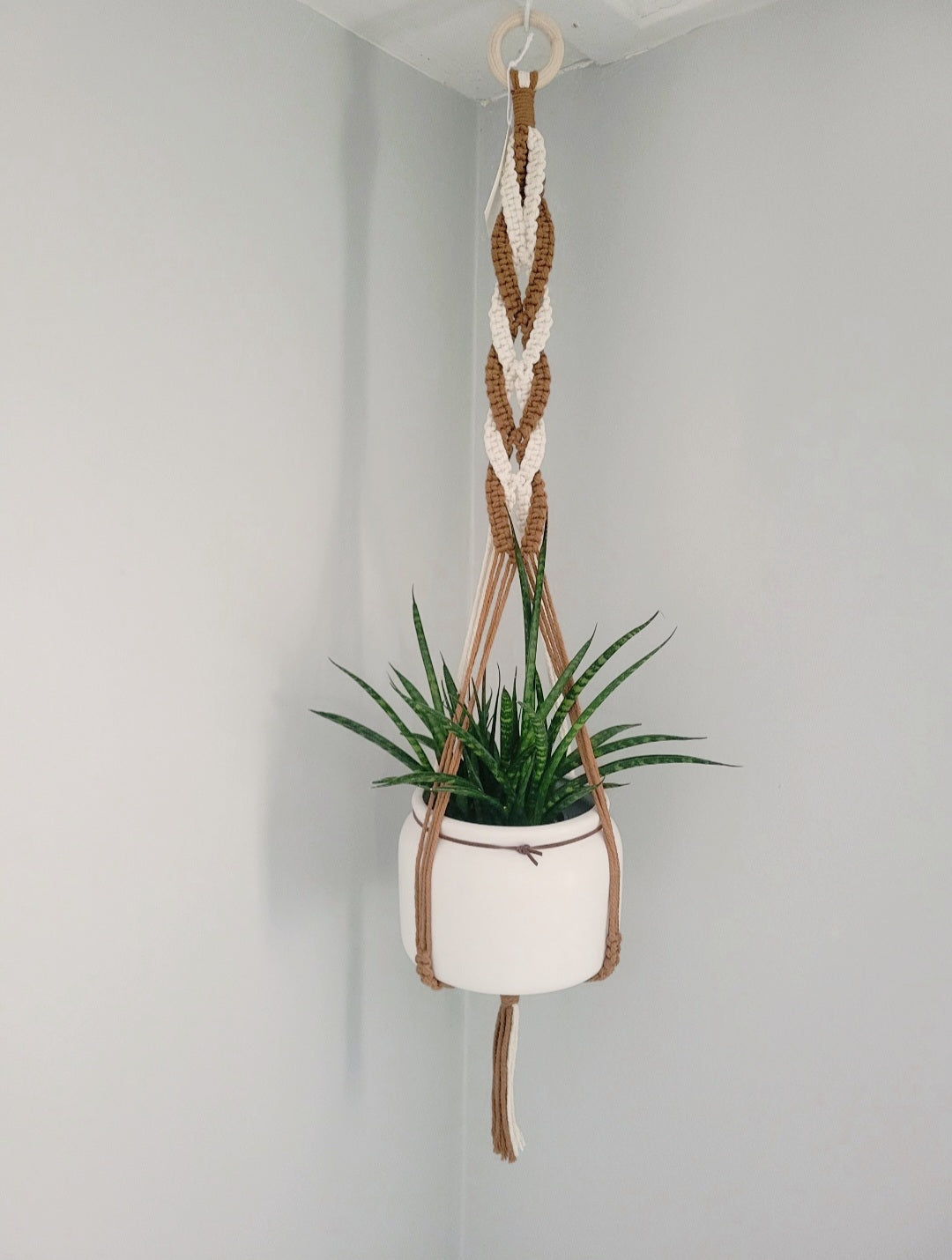 Jardinière torsadé