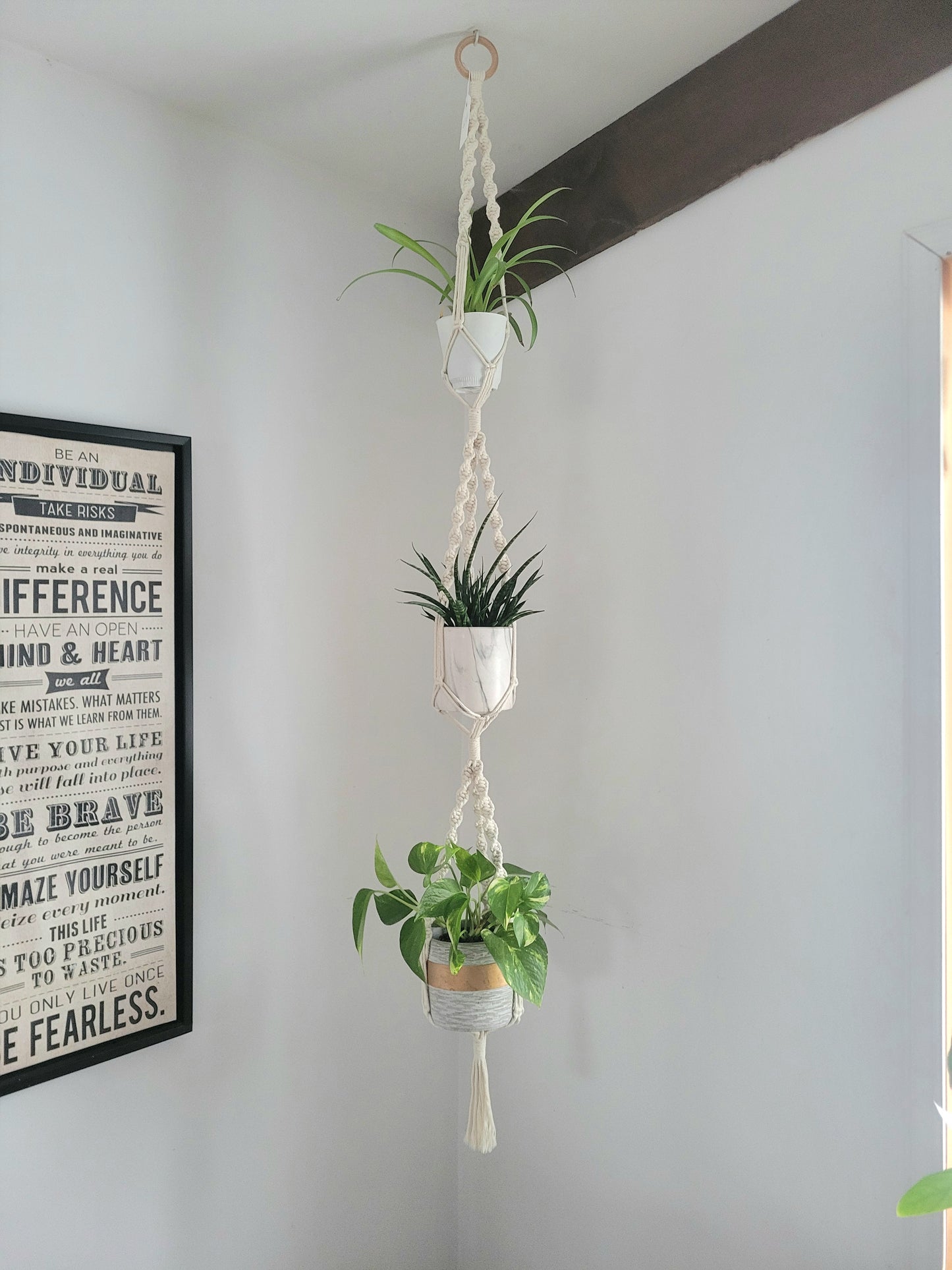 Jardinière triple